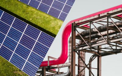 Rely on climate-neutral gas today!