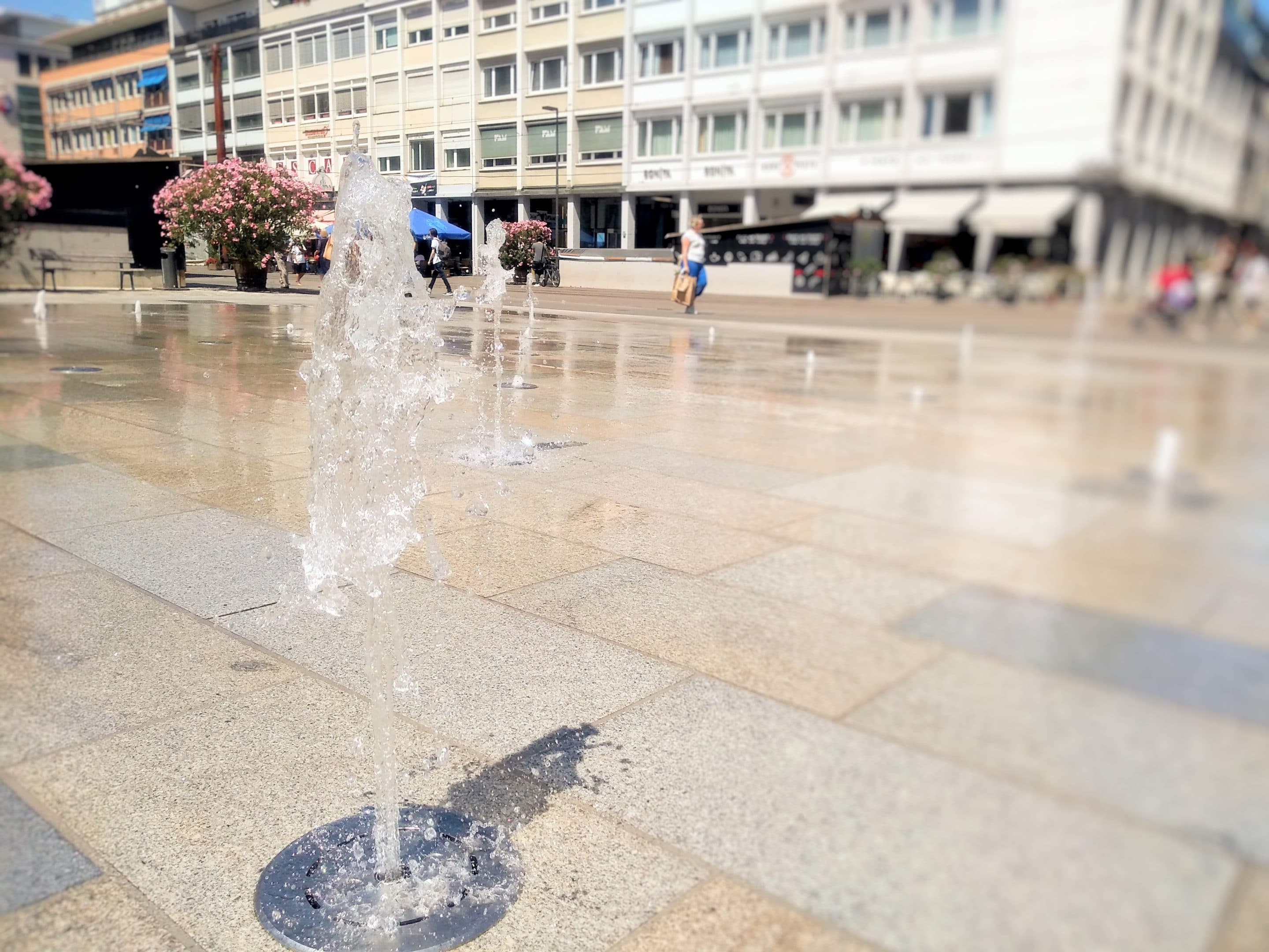 Free voters and FÜR Karlsruhe put heat emergency plan on the city’s agenda