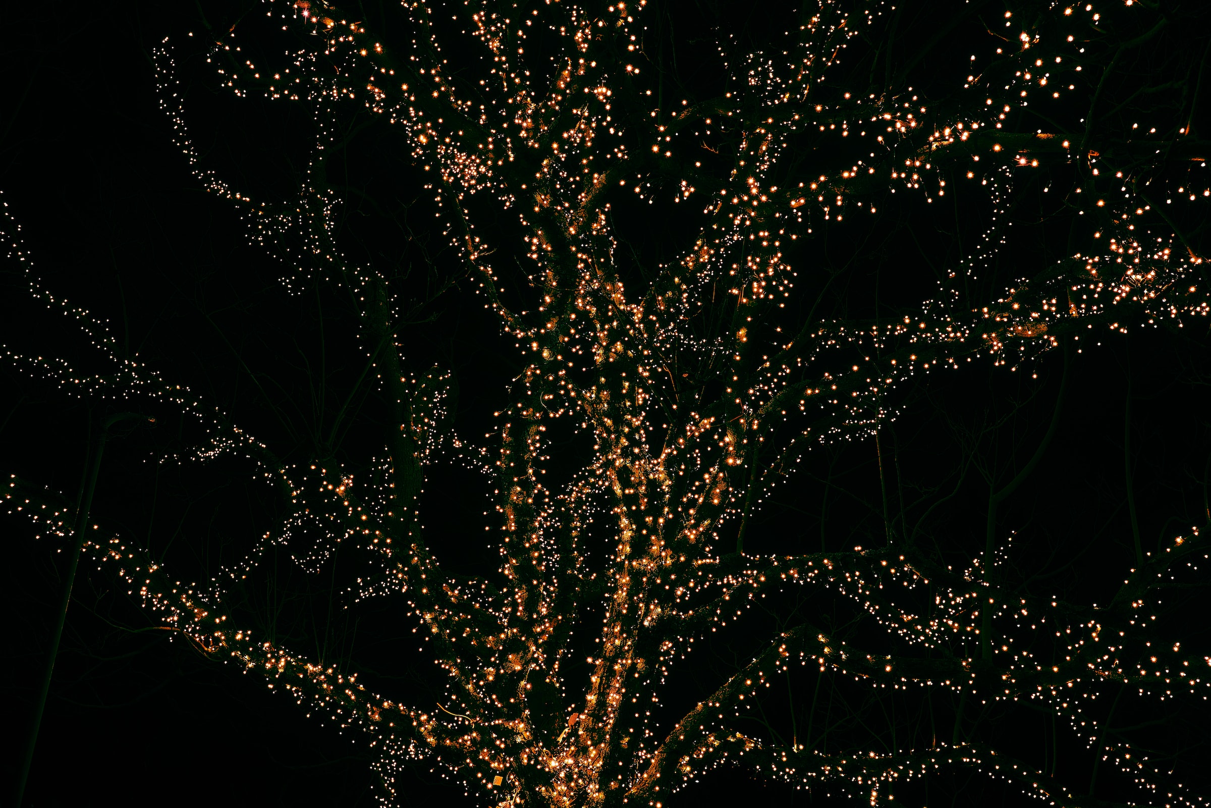 Suspend festival of lights?