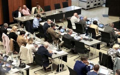 Positionspapier für die Zusammenarbeit mit anderen Parteien